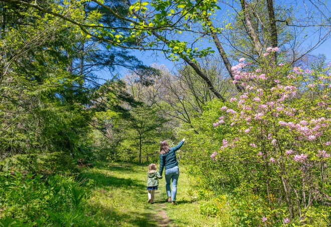 A mother and child exploring a path in the Asheville Botanical Gardens in Asheville, North Carolina