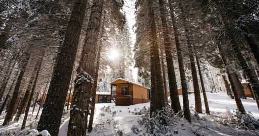 Cabins set in a forest surrounded by snow