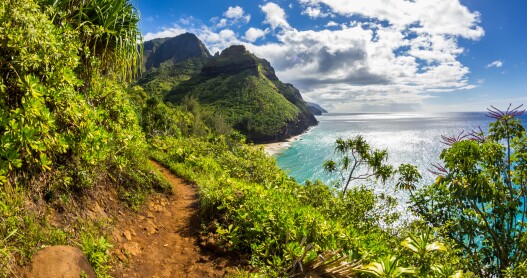 View of Kauai's Na Pali Coast as seen from the Kalalau Trail.