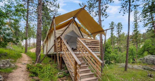 A canvas tent with wooden stairs, surrounded by trees 